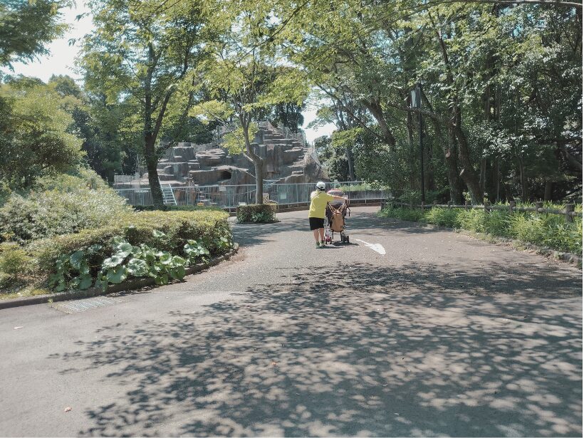 動植物園へ