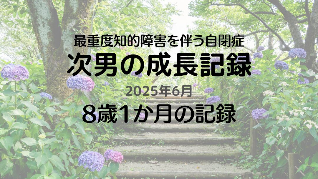 最重度知的障害を伴う自閉症の次男の成長記録