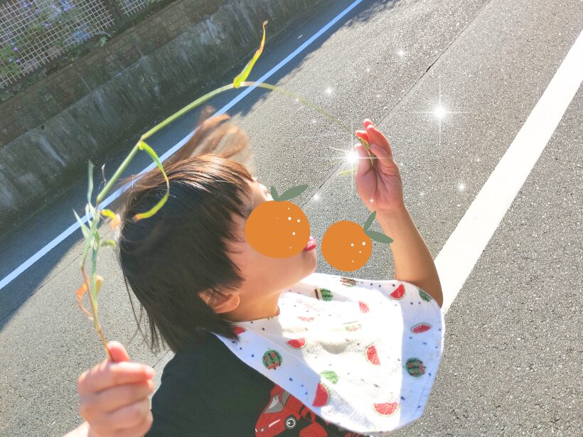 散歩スタート