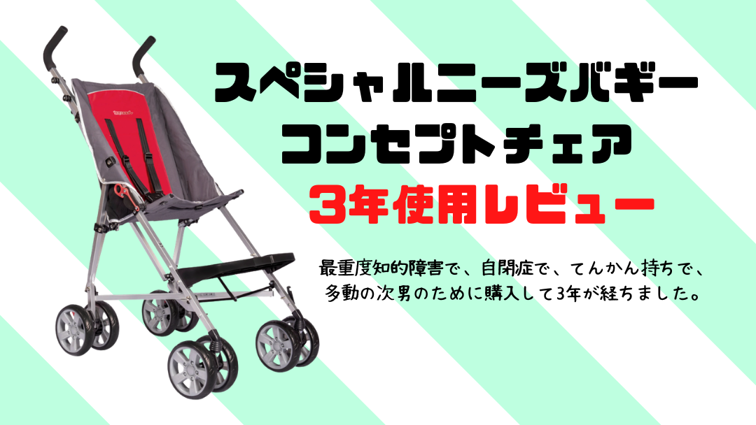 スペシャルニーズバギーコンセプトチェア