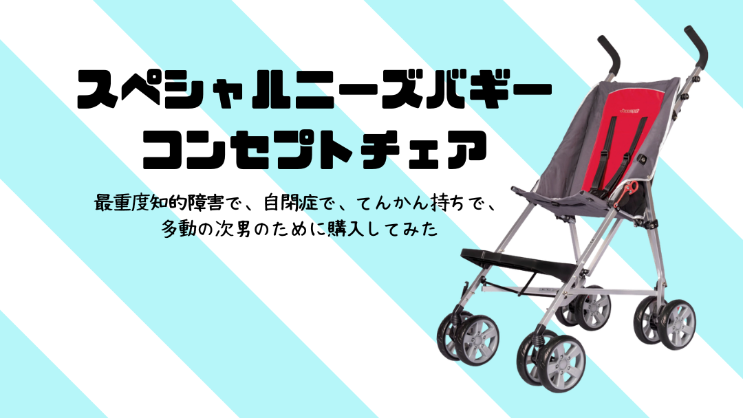 自閉症等の障害児用バギー